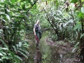Het is vaak heel nat in Tortuguero