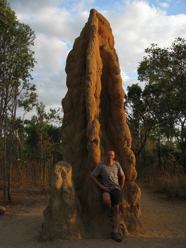 Litchfield NP - In Litchfield NP staan deze metershoge termietenheuvels (foto uit 2009)
