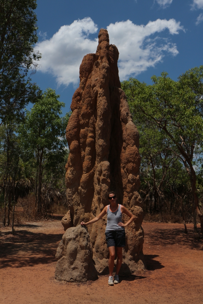 Litchfield NP - In Litchfield NP staan deze metershoge termietenheuvels (foto uit 2014)