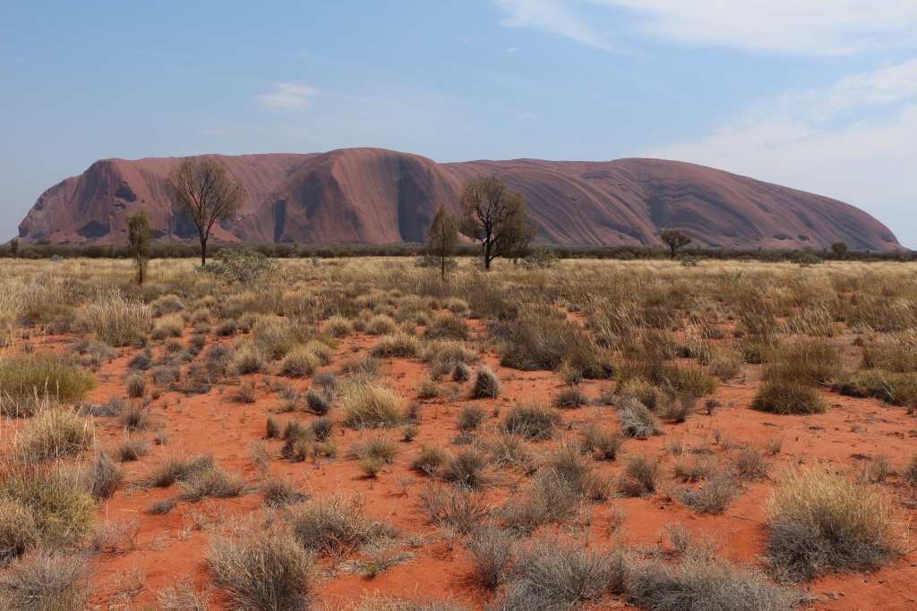 In een woestijnachtige landschap van rood zand, rode zandduinen, geel spinifex gras en grijsgroene bossages staat icoon Uluru, ook wel Ayers Rock genoemd.