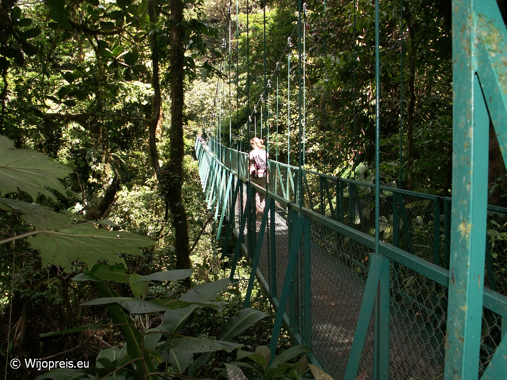 Een van de vele hangbruggen in het nevelwoud van Monteverde