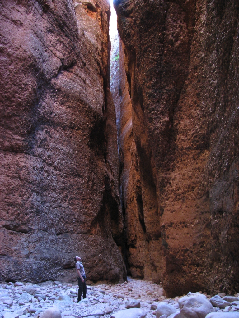 Purnululu NP - Echidna Chasm is een nauwe kloof van 1km lengte, die licht en warm begint met kleine palmbomen maar steeds donkerder en kouder wordt