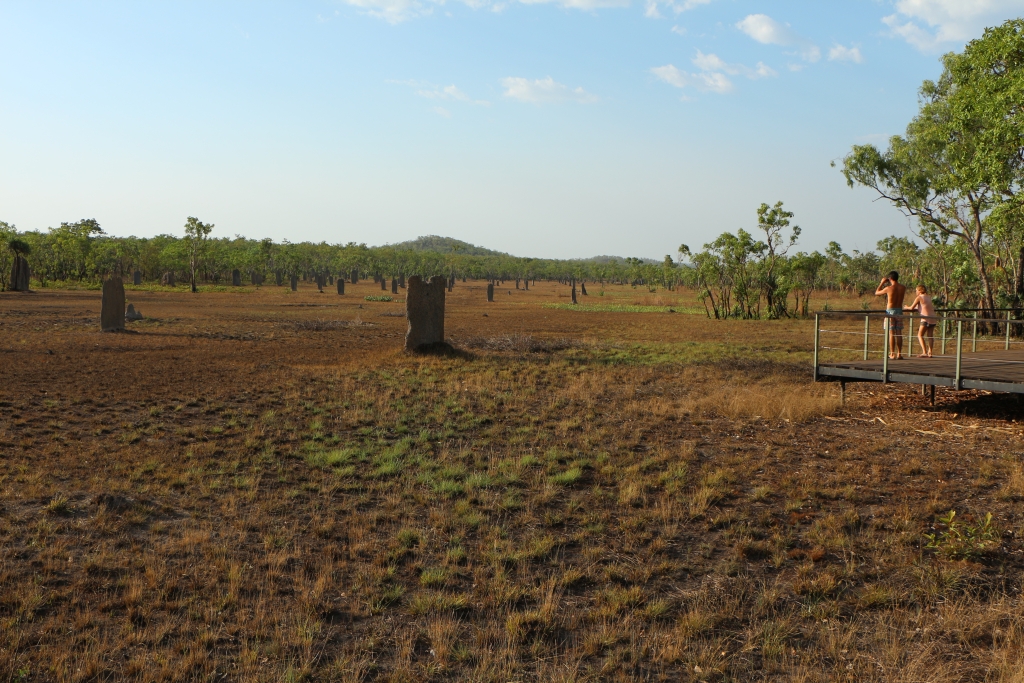 Metershoge termietenheuvels domineren het landschap in het noorden van Litchfield NP.