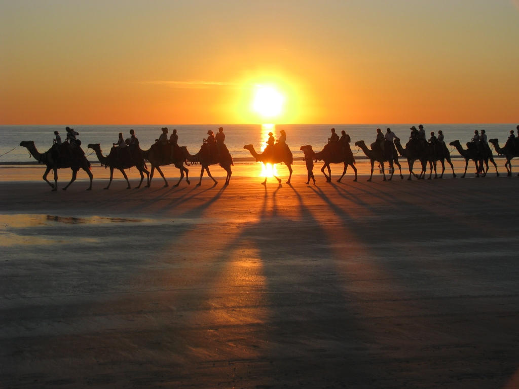 Broome - Camels on Cable Beach