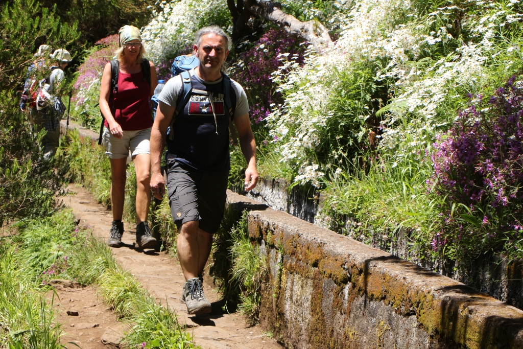 Wandelen met de geur van witte en paarse bloemen in je neus