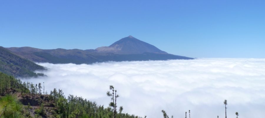 De Teide op Tenerife is al van ver, vanaf een van de uitkijkpunten, te zien. Op een heldere dag lijkt ze zich te hebben toegedekt met een deken van wolken.